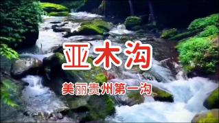 怎么联系竞技宝客服