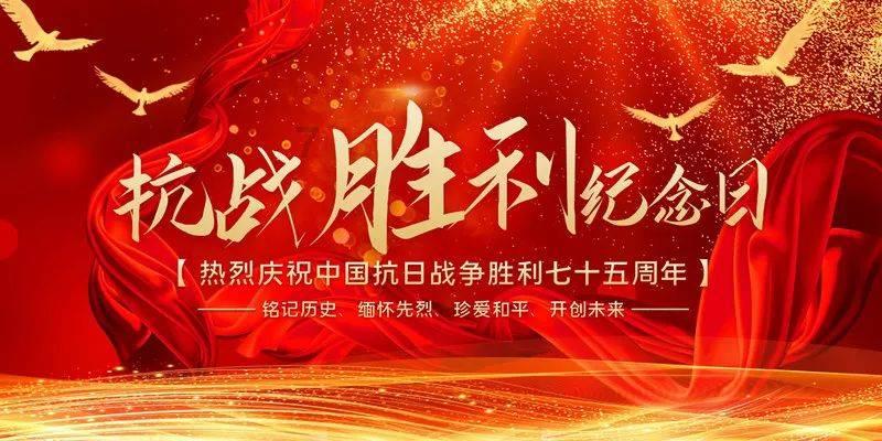 猫咪被踩出屎了怎么办?—专业的讨论社区平台